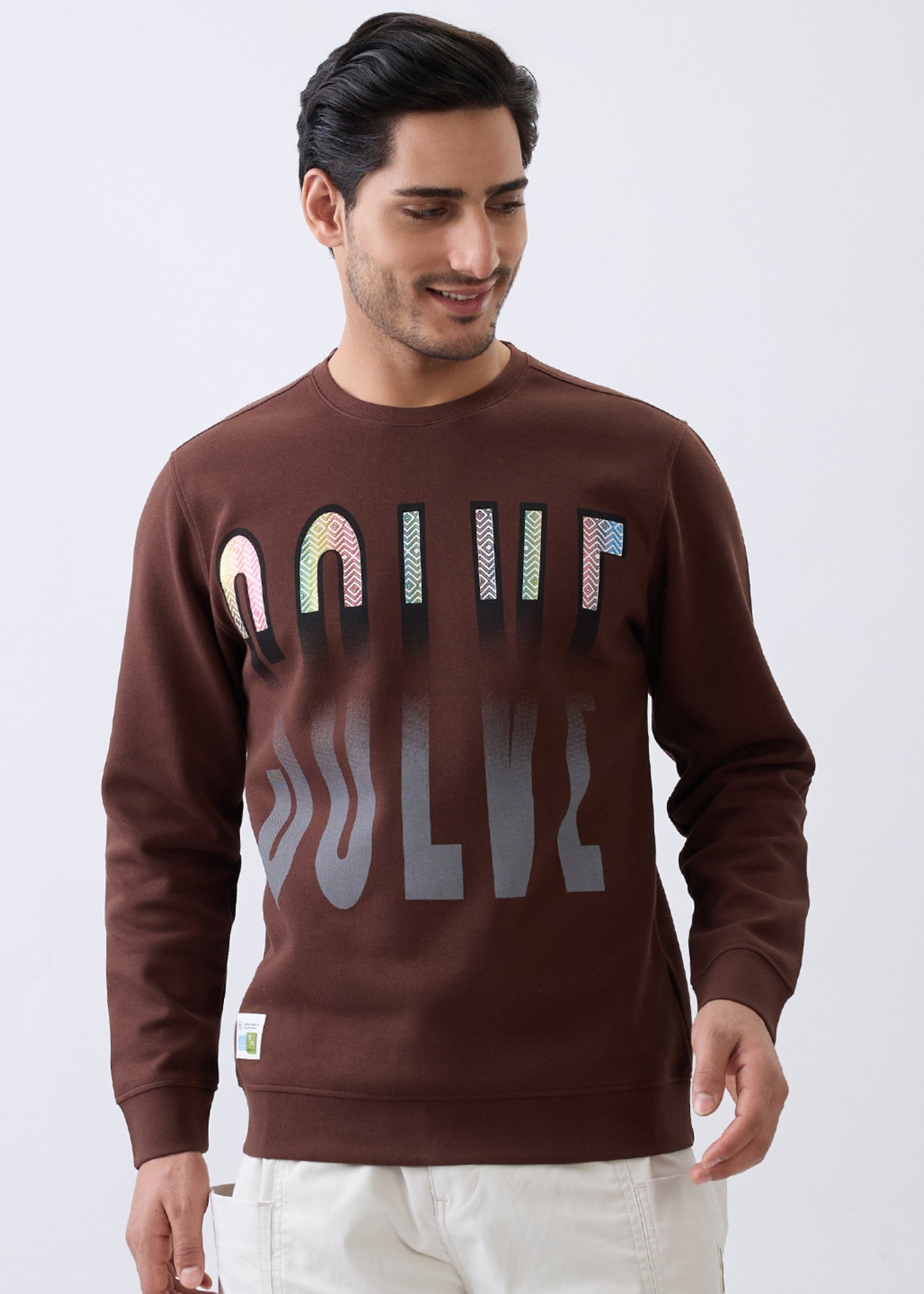 Solve Graphic Full Sleeve Sweatshirt: Brown