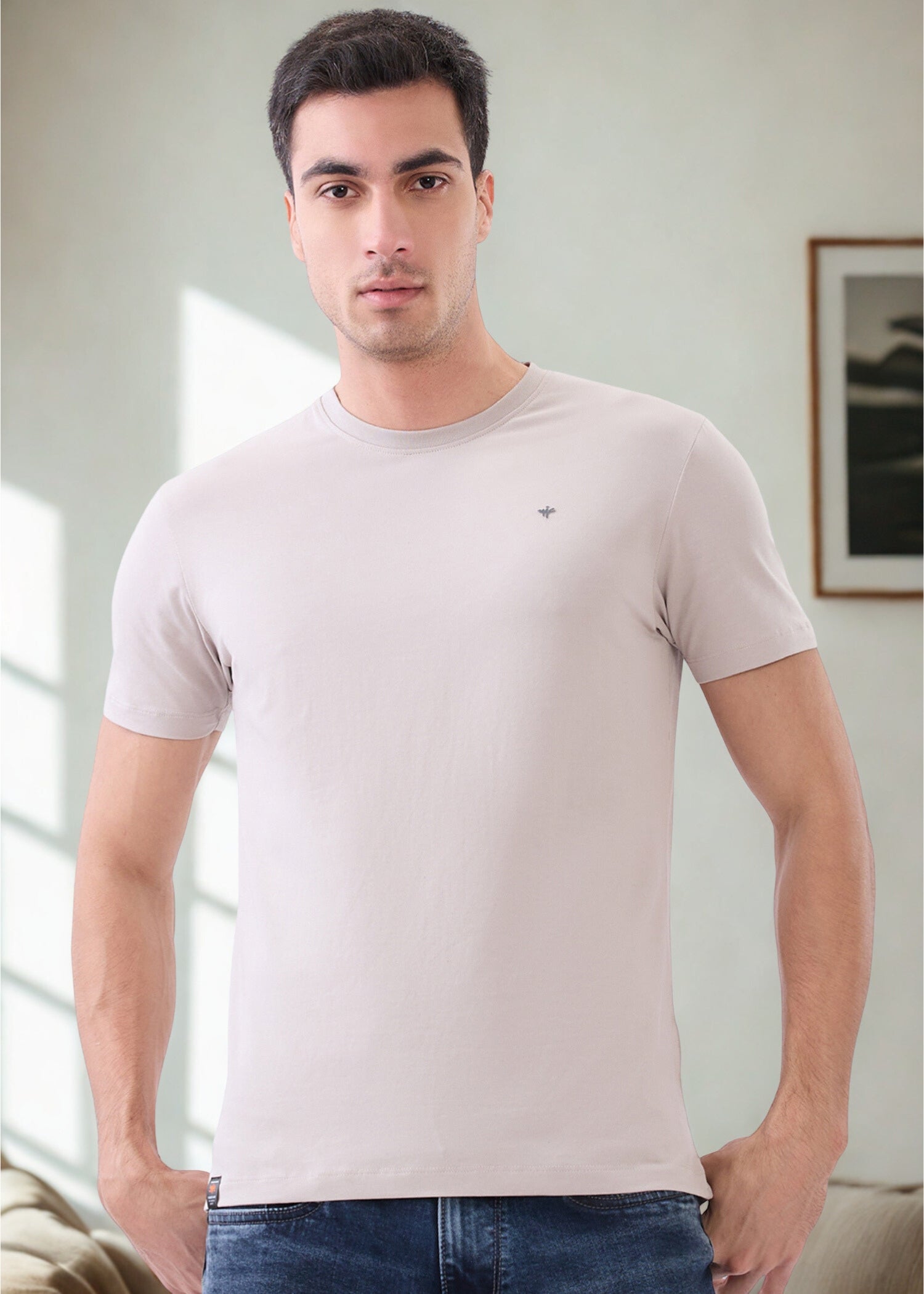 Arch Solid Half Sleeve T-Shirt: Light Grey