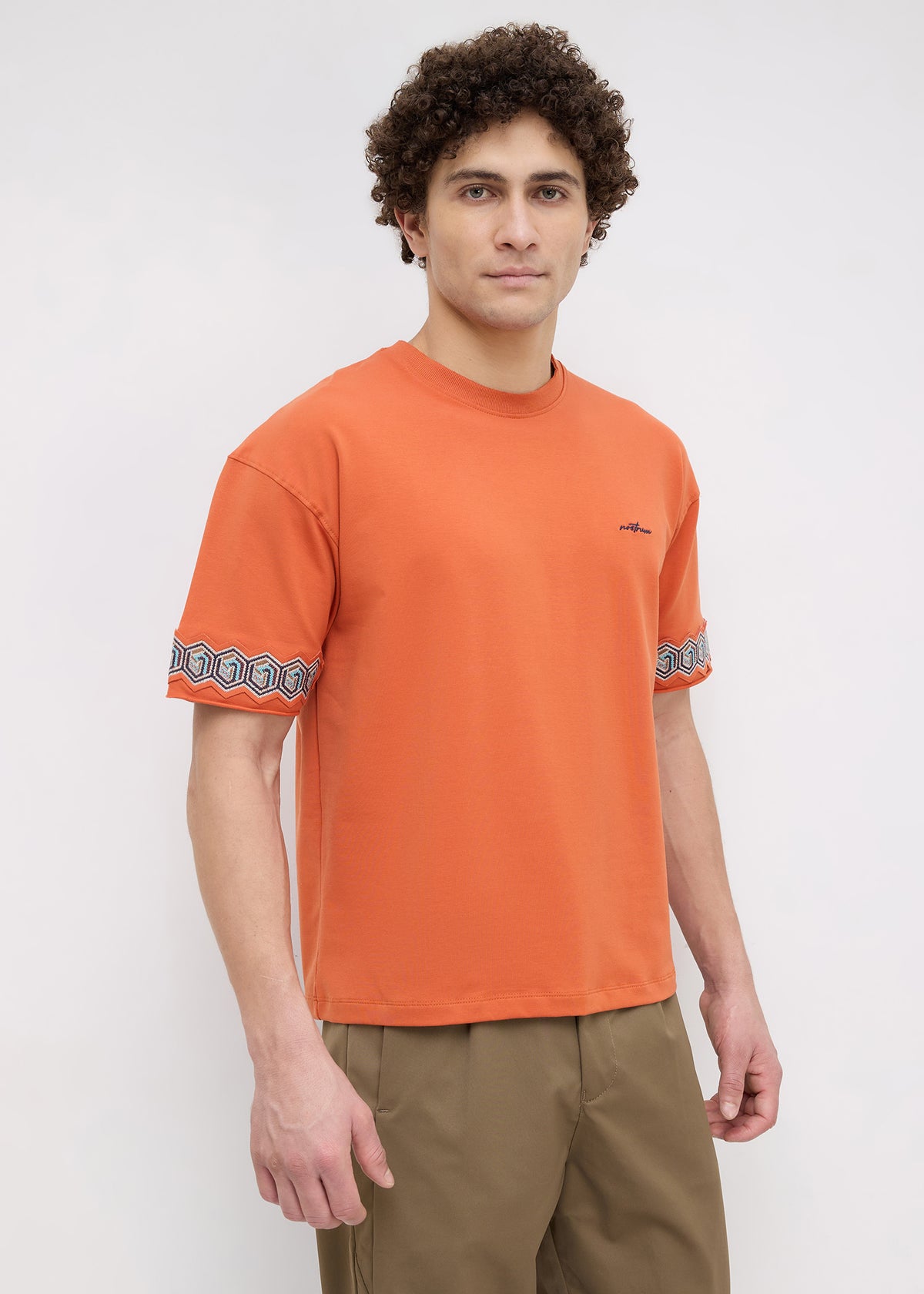 Breeze Embroidered Oversized T-Shirt: Rust